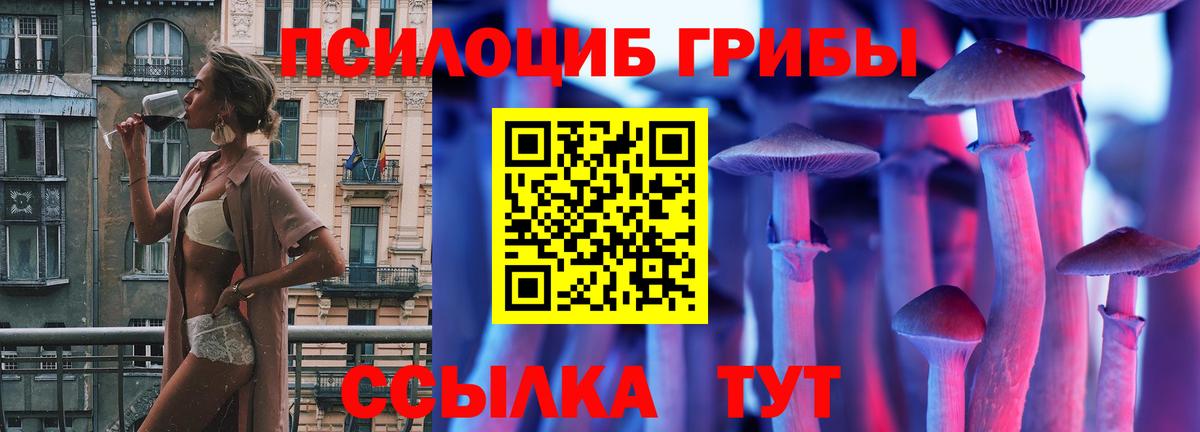 Галлюциногенные грибы Psilocybine cubensis Батайск