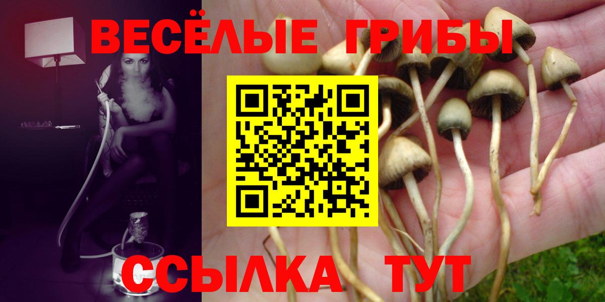 Галлюциногенные грибы Psilocybine cubensis  Вход с VPN  Батайск  Галлюциногенные грибы Psilocybine cubensis 
